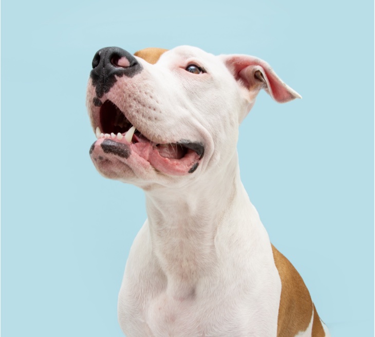 iStock-1321101645